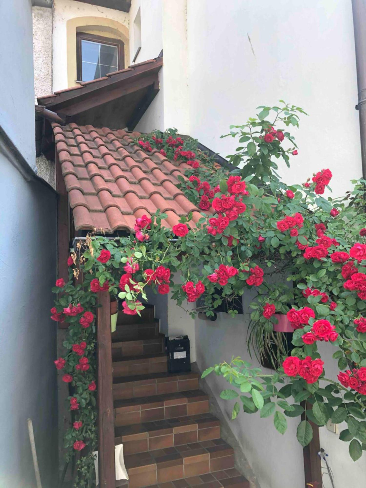 Im Rosenhof Διαμέρισμα Λιντάου Εξωτερικό φωτογραφία